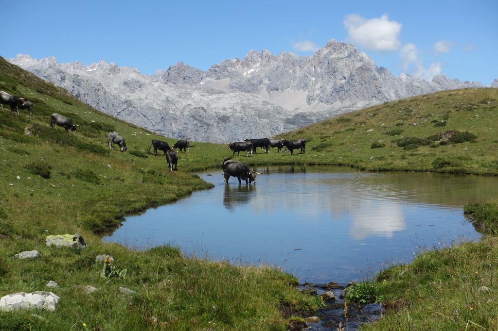 Hostal Puente Deva Espinama Exteriér fotografie